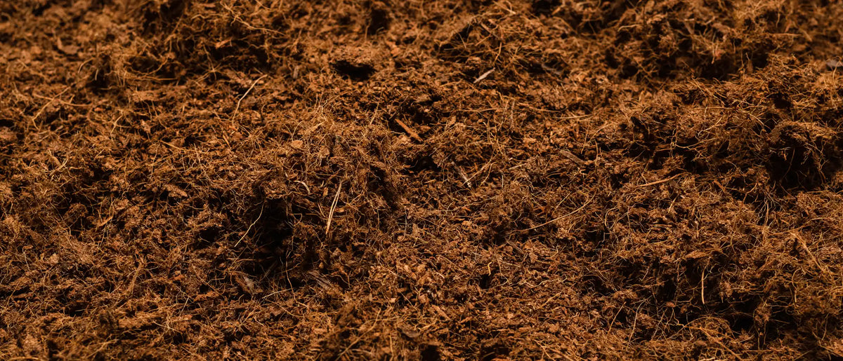 Substrats naturels pour terrarium bioactif