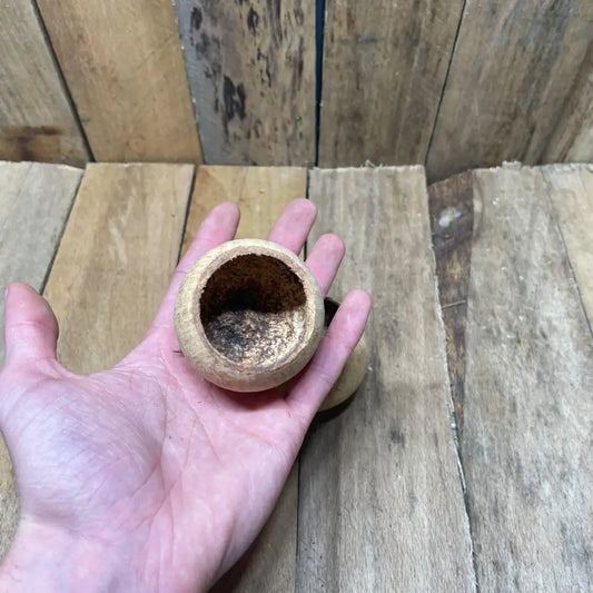 Gousse de Bael naturelle (5 à 6 cm) pour décoration de terrarium bioactif ou tropical