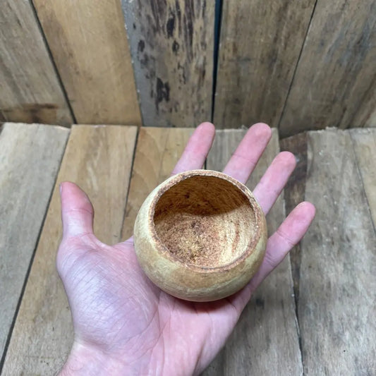 Gousse de Bael naturelle (6 à 8 cm) pour décoration de terrarium bioactif, tropical ou désertique