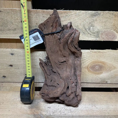 Racine de mangrove naturelle 20-30cm pour terrarium – Décor pour reptiles, amphibiens et invertébrés – Pièce unique N°7 Costaterra
