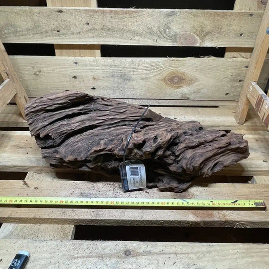 Racine de mangrove naturelle 30-60cm pour terrarium – Décor pour reptiles, amphibiens et invertébrés – Pièce unique N°3 Costaterra