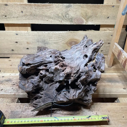Racine de mangrove naturelle 30-60cm pour terrarium – Décor pour reptiles, amphibiens et invertébrés – Pièce unique N°6 Costaterra
