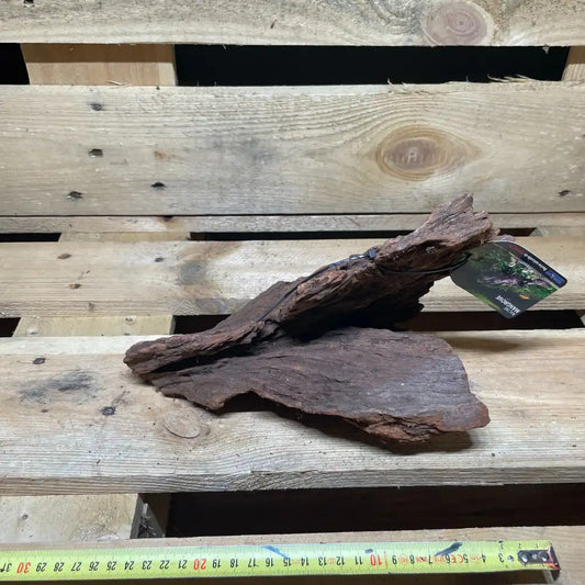 Racine de mangrove naturelle 20-30cm pour terrarium – Décor pour reptiles, amphibiens et invertébrés – Pièce unique N°3 Costaterra