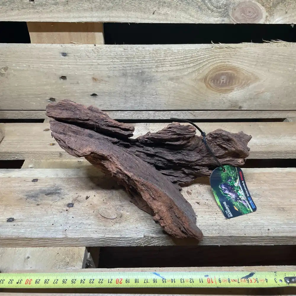 Racine de mangrove naturelle 20-30cm pour terrarium – Décor pour reptiles, amphibiens et invertébrés – Pièce unique N°3 Costaterra