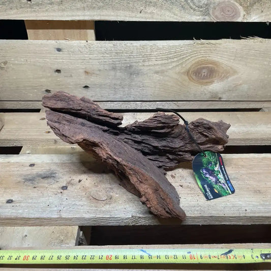 Racine de mangrove naturelle 20-30cm pour terrarium – Décor pour reptiles, amphibiens et invertébrés – Pièce unique N°3 Costaterra
